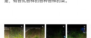 Screenshot_20230808_215013_com.yunzhi_.yangfan_.jpg